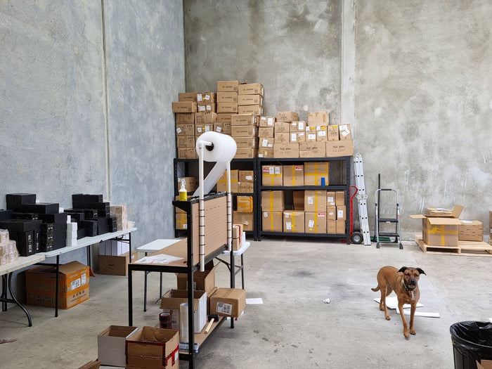 Luna the dog inspecting the new warehouse, February 2022